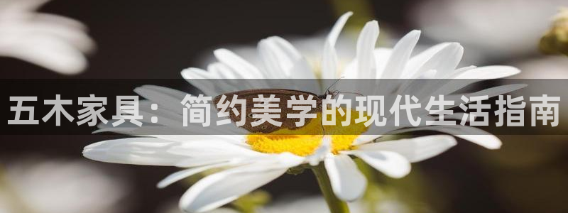 先锋娱乐集团公司