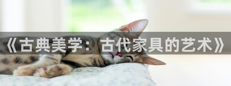 先锋支付娱乐城
