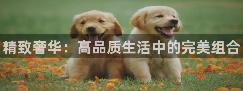先锋娱乐管理集团招聘