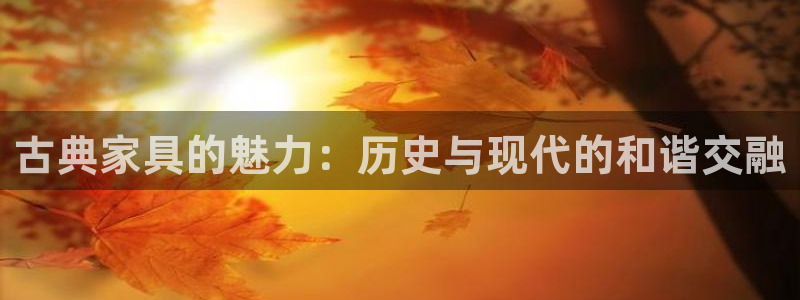 先锋娱乐简介图片