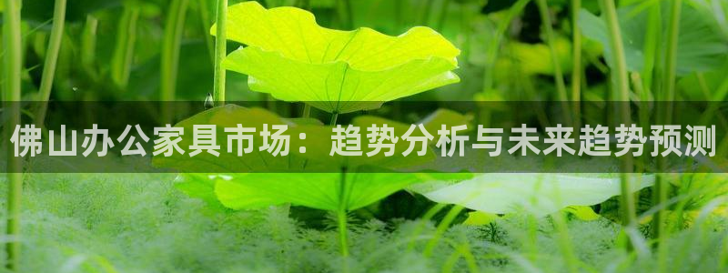 先锋娱乐理财