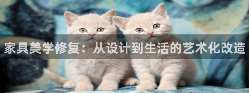 先锋娱乐币