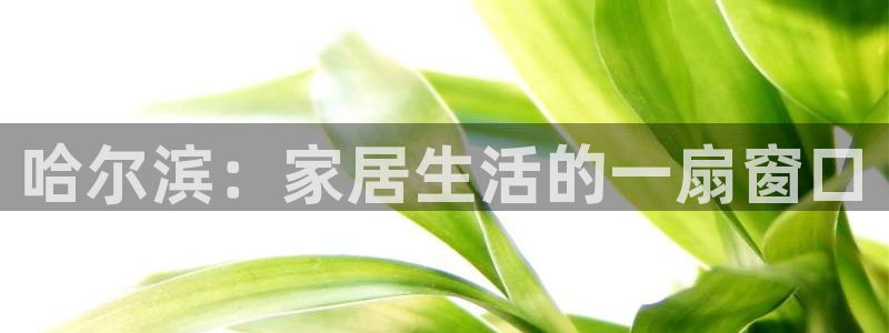 先锋娱乐