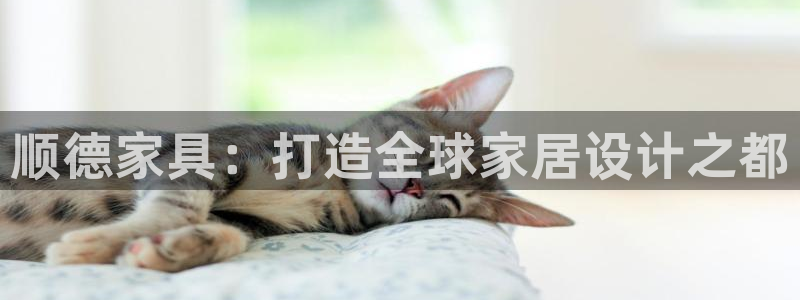 先锋娱乐游戏上分网址：顺德家具：打造全球家居设计之都