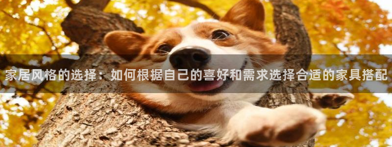 先锋娱乐管理集团