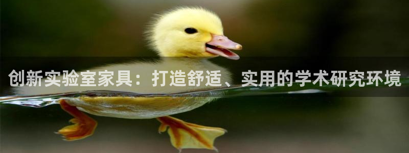 先锋国际娱乐