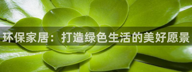先锋娱乐赛