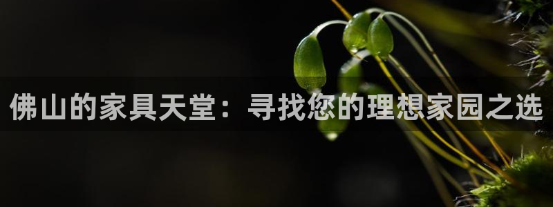 大连先锋娱乐