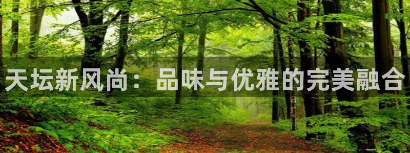 先锋娱乐电子游戏