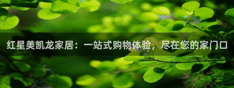 先锋娱乐游戏大厅下载：红星美凯龙家居：一站式购物体验，尽在您