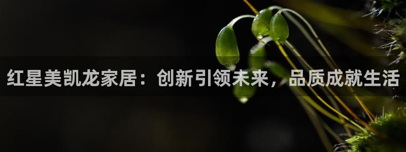 先锋娱乐集团
