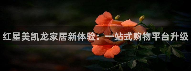 先锋岛娱乐