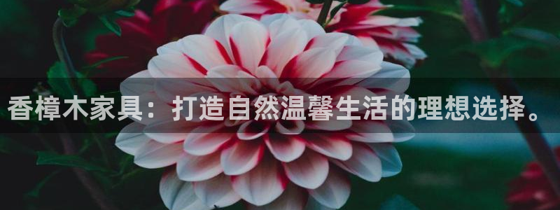 先锋娱乐游戏软件：香樟木家具：打造自然温馨生活的理想选择。