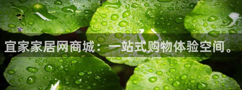 先锋娱乐软件：宜家家居网商城：一站式购物体验空间。