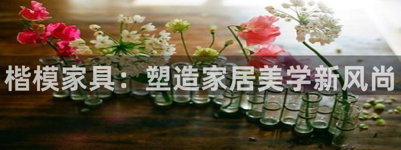 娱乐急先锋全集下载：楷模家具：塑造家居美学新风尚