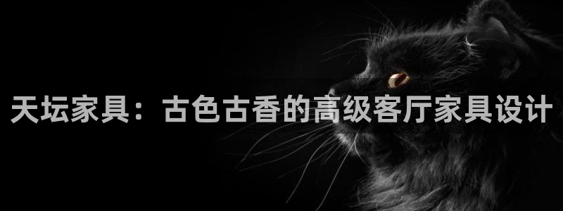 先锋娱乐科技
