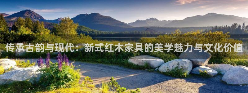 先锋娱乐入口