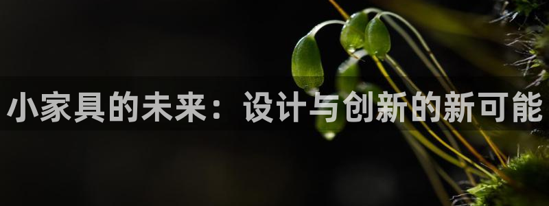 先锋娱乐简介图片