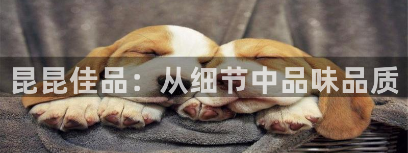 先锋娱乐体育管理集团