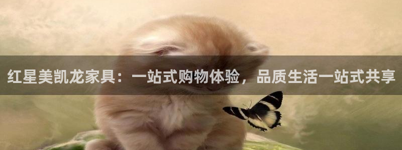 娱乐急先锋全集下载