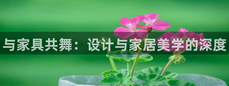 先锋娱乐币：与家具共舞：设计与家居美学的深度