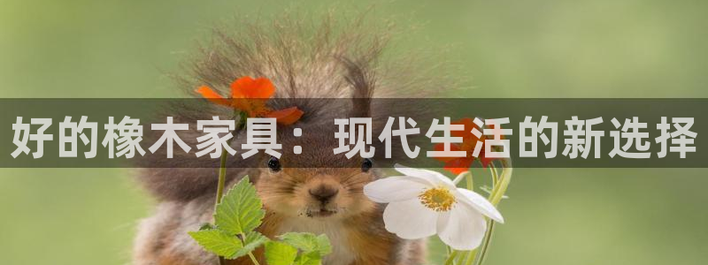 先锋娱乐游戏大厅下载