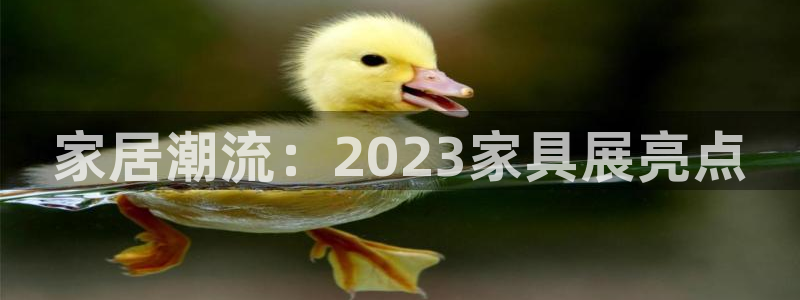 先锋电子旗下先锋娱乐