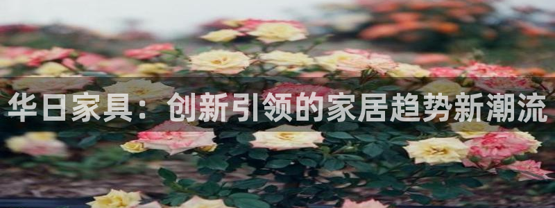 先锋娱乐邀请码多少