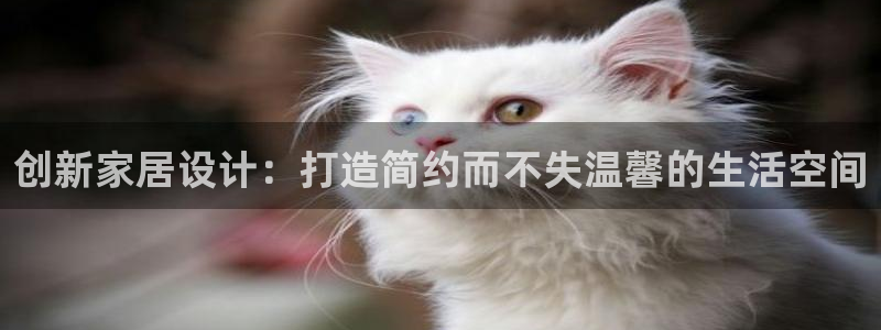 先锋娱乐简介图片