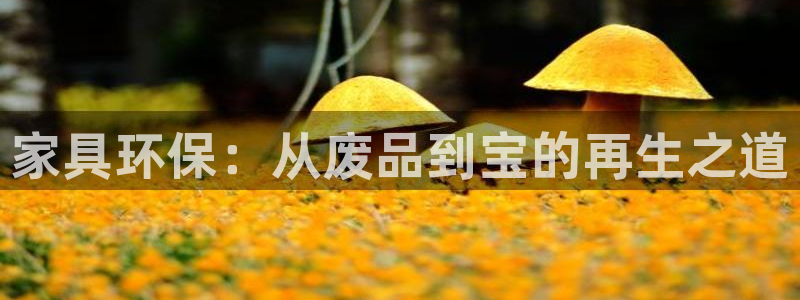 威斯汀娱乐先锋