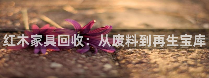 先锋娱乐链接