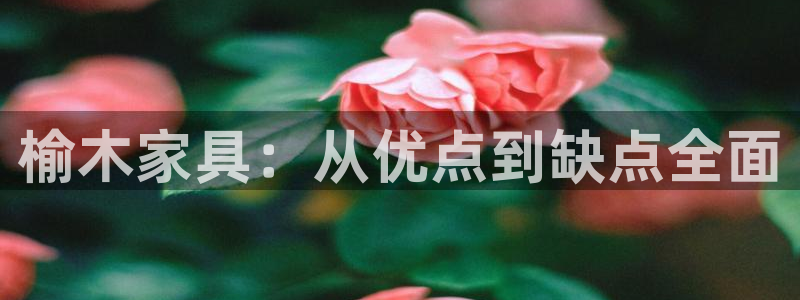 先锋娱乐集团