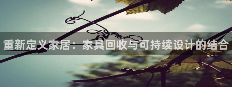 先锋娱乐体育管理集团