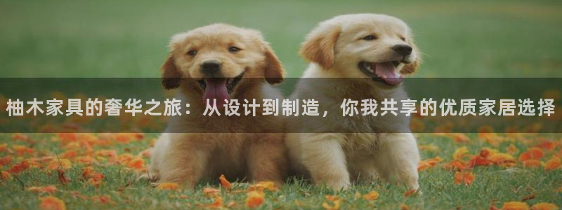 先锋娱乐大厅牛牛