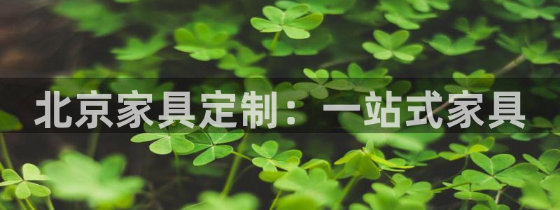 先锋娱乐科技
