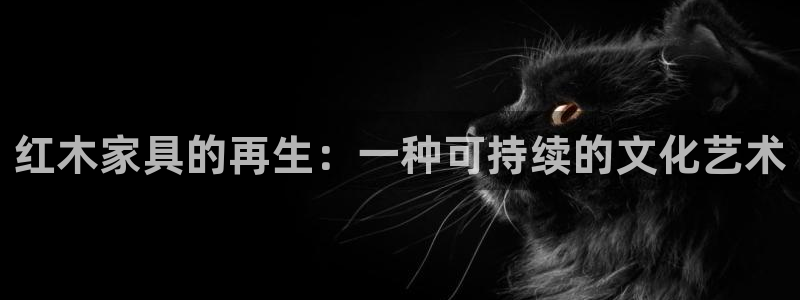 先锋娱乐账号注册不了
