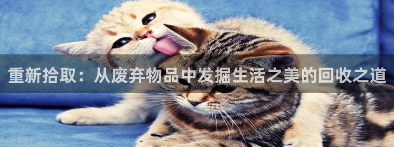 先锋娱乐会所地址