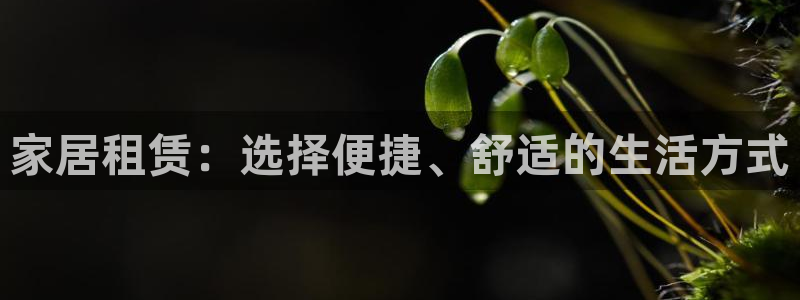 先锋娱乐棋牌：家居租赁：选择便捷、舒适的生活方式