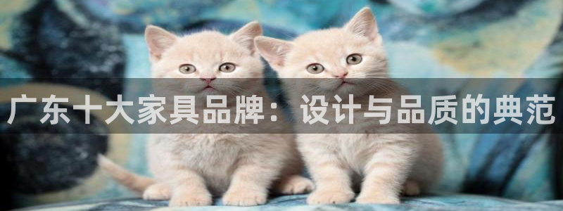 先锋娱乐集团公司